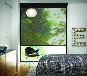 MyBlinds:  Light Filtering Roller Shade